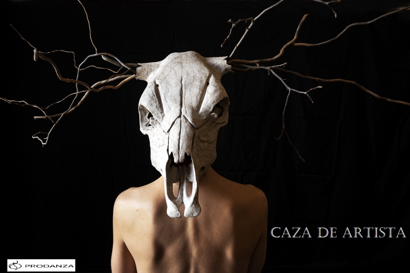 Caza de Artista